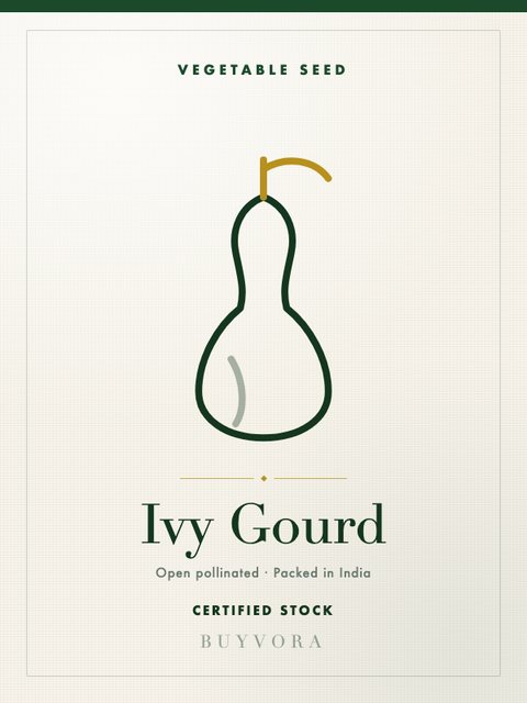 Ivy Gourd
