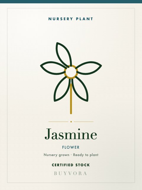 Jasmine Plant Medium