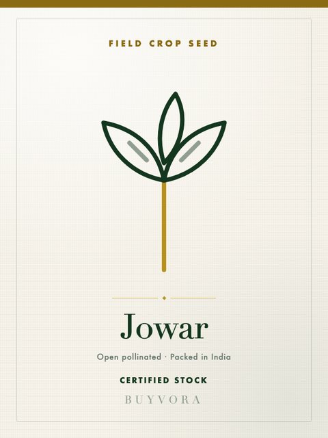 Jowar