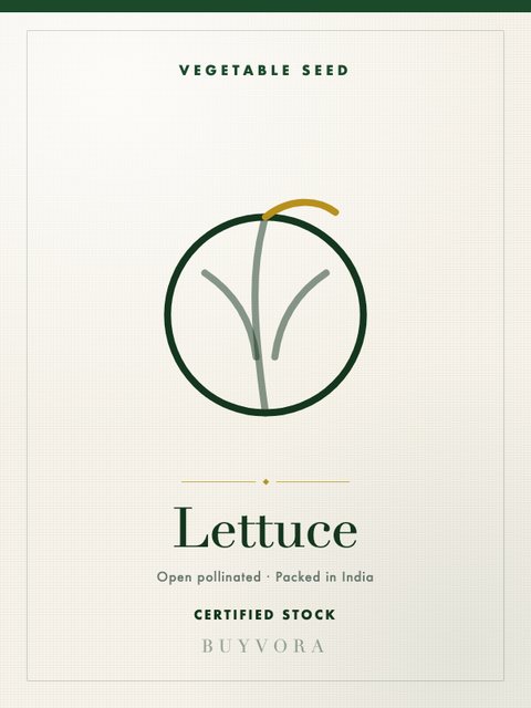 Lettuce