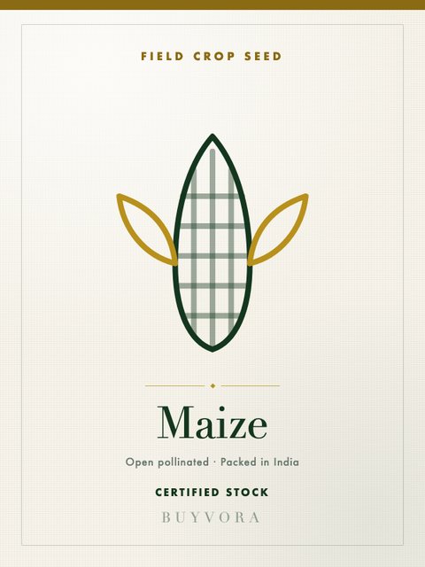 Maize