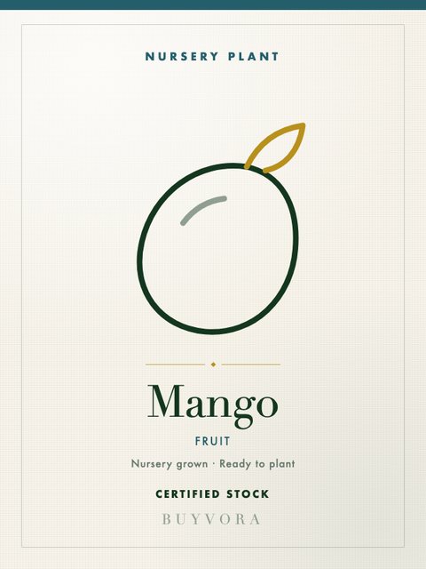 Mango Plant Medium