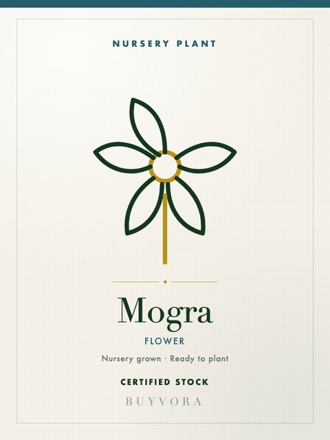 Mogra Plant Medium