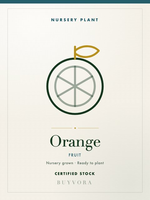 Orange Plant Medium