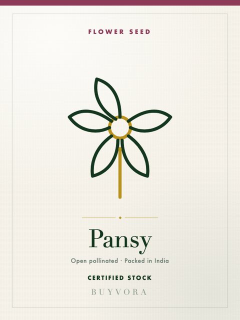 Pansy