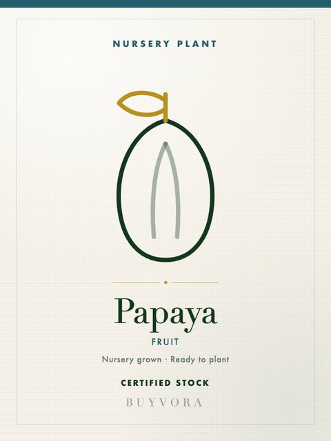 Papaya Plant Medium