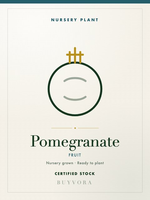 Pomegranate Plant Medium
