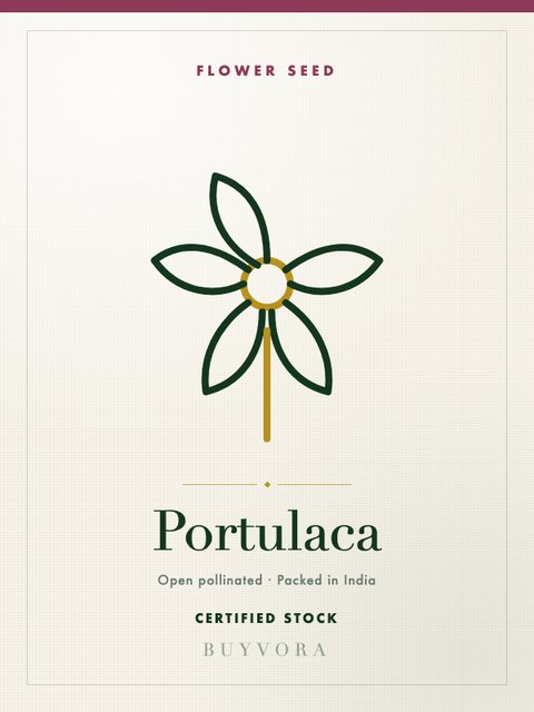 Portulaca