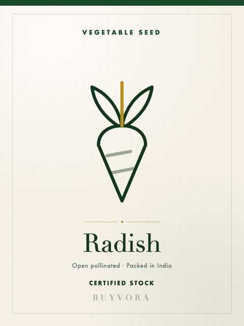 Radish