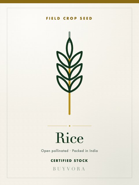 Rice