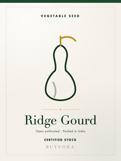 Ridge Gourd