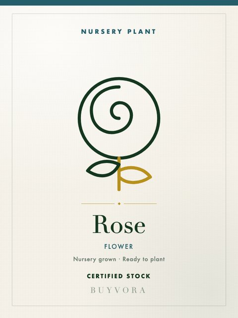 Rose Plant Medium