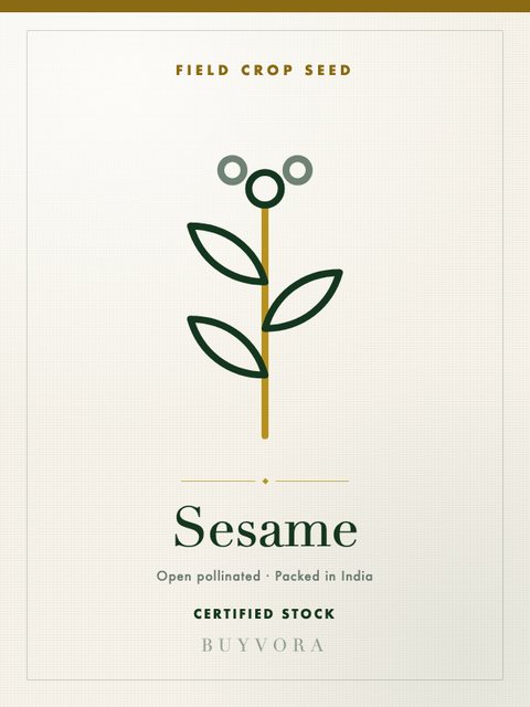 Sesame