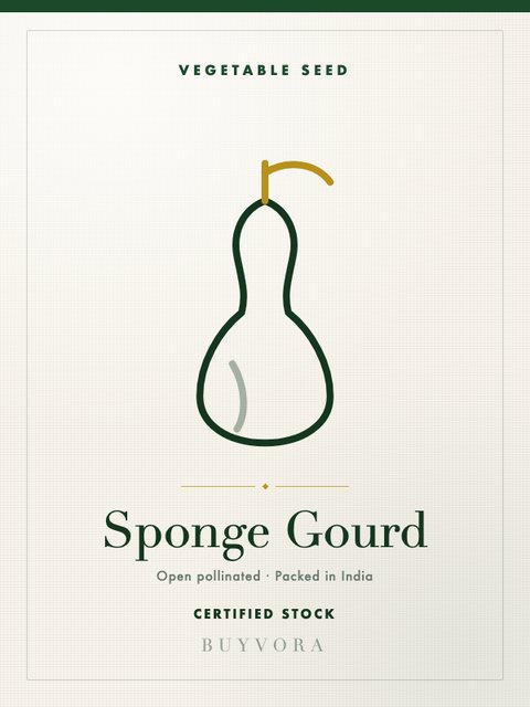 Sponge Gourd