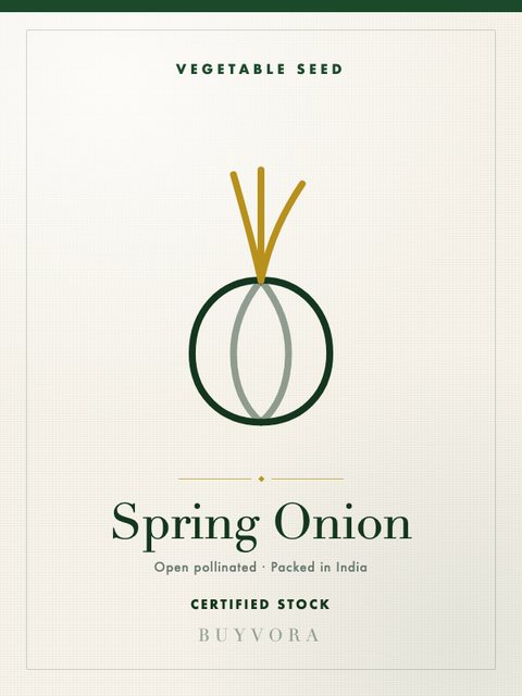Spring Onion