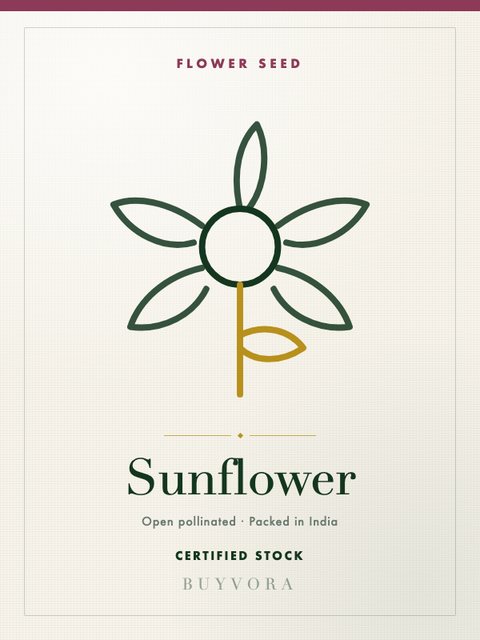 Sunflower