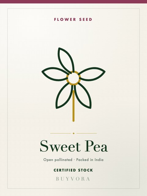 Sweet Pea