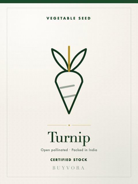 Turnip