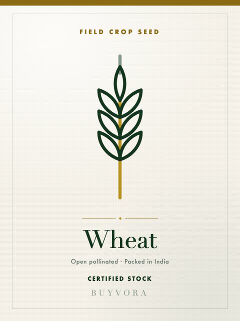 Wheat