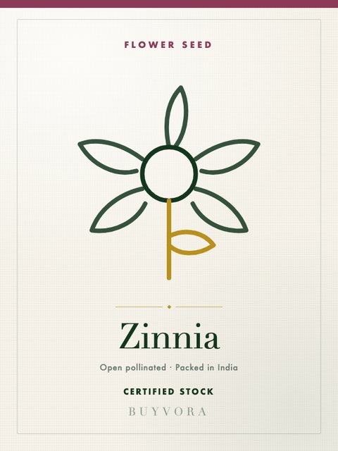 Zinnia